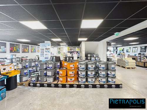 Craponne Rhône Gewerbeimmobilie Bild 7184821