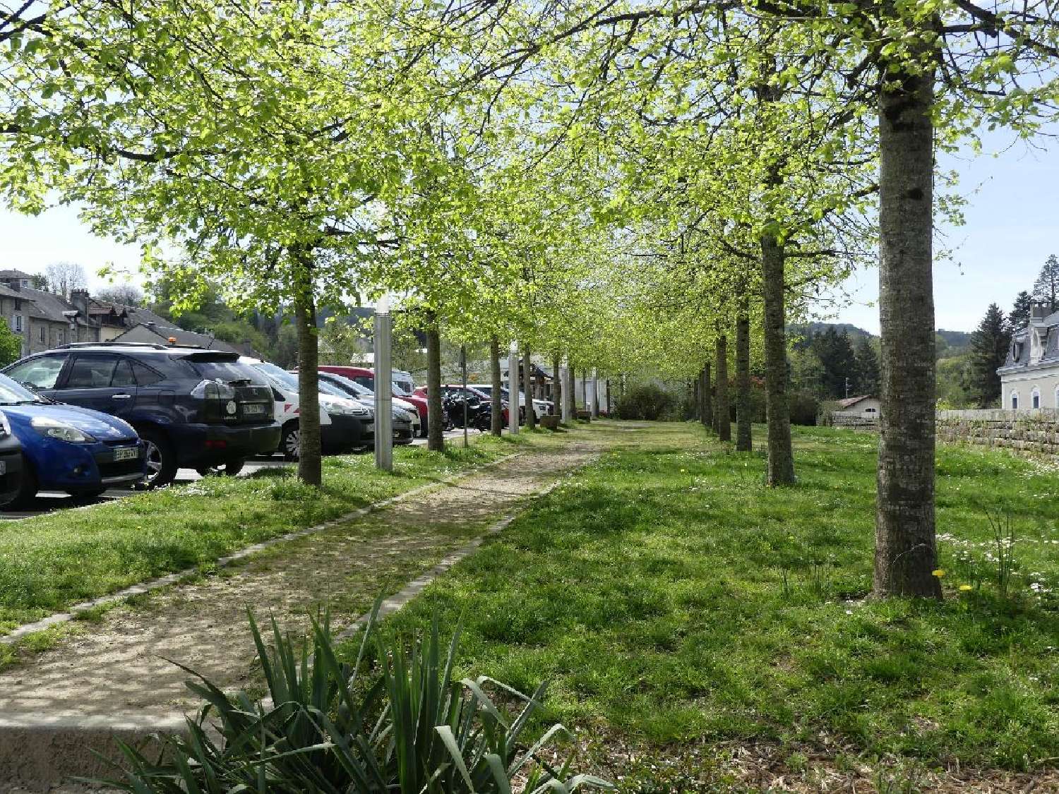  à vendre commerce Eymoutiers Haute-Vienne 2