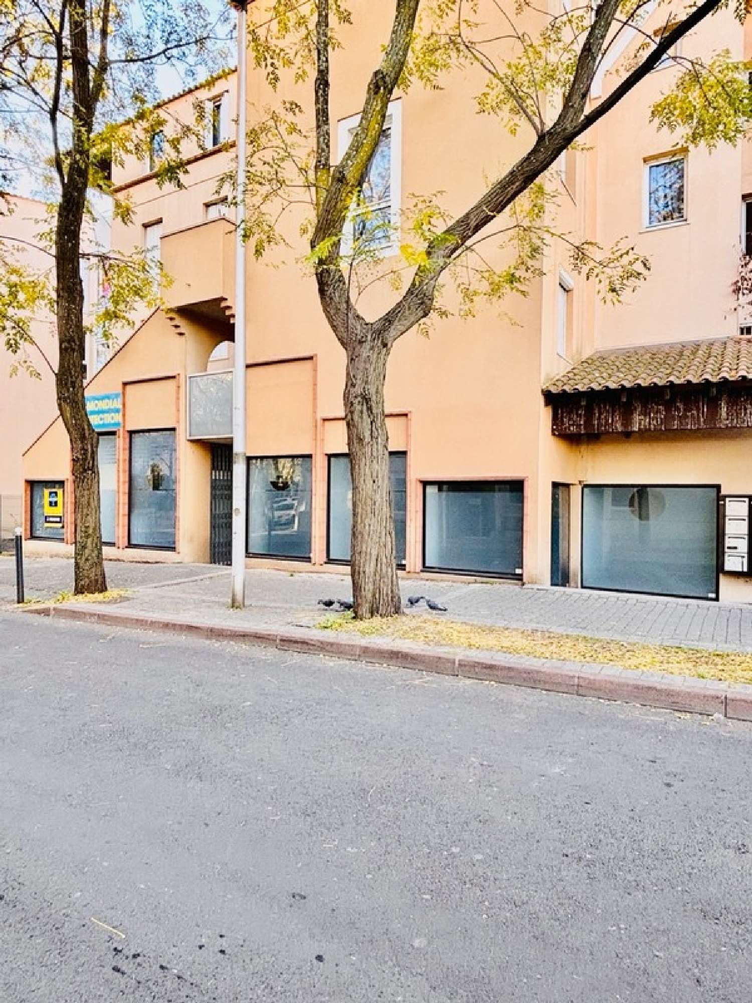 en venta local comercial Montpellier Hérault 2