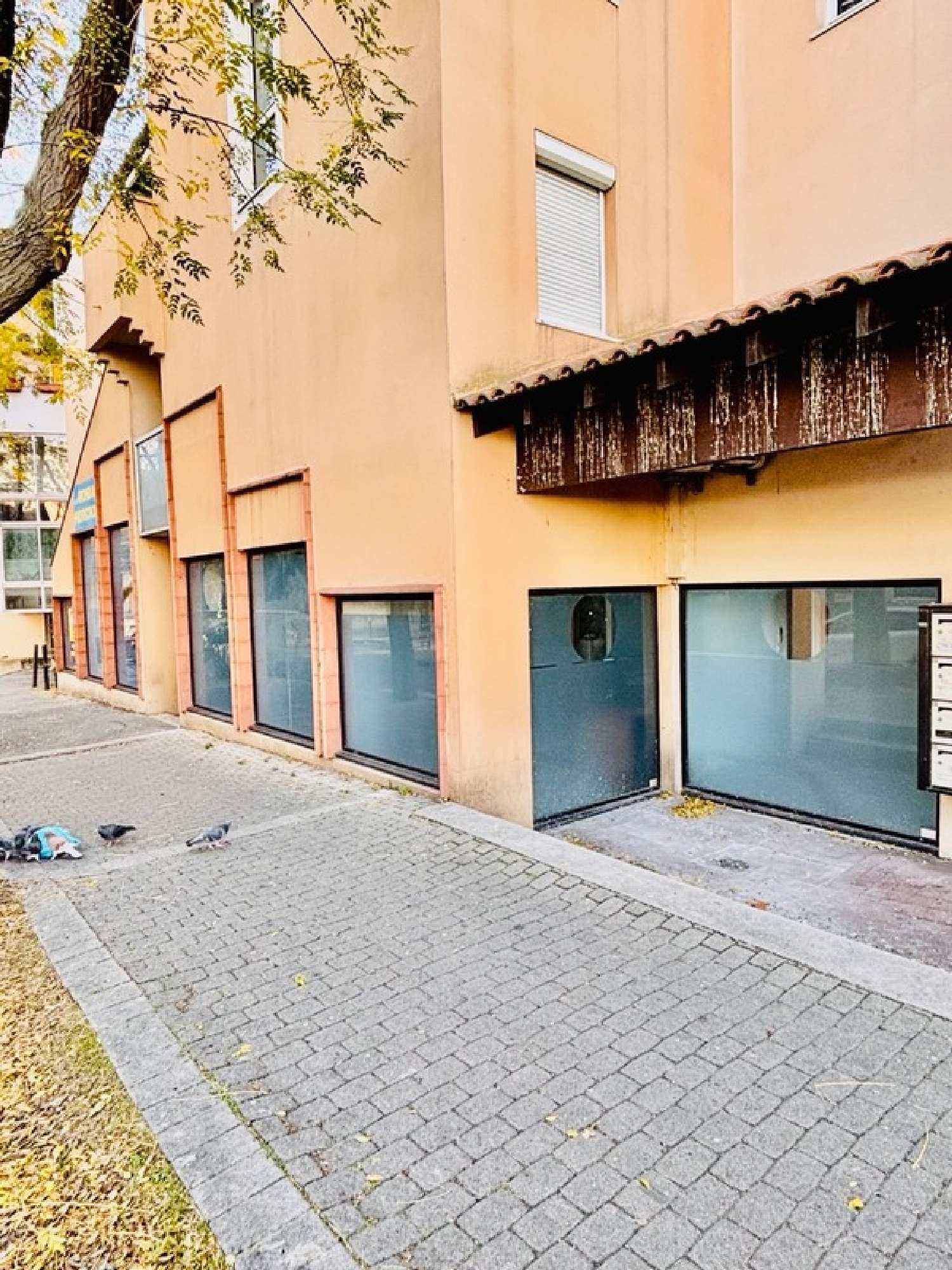 en venta local comercial Montpellier Hérault 4