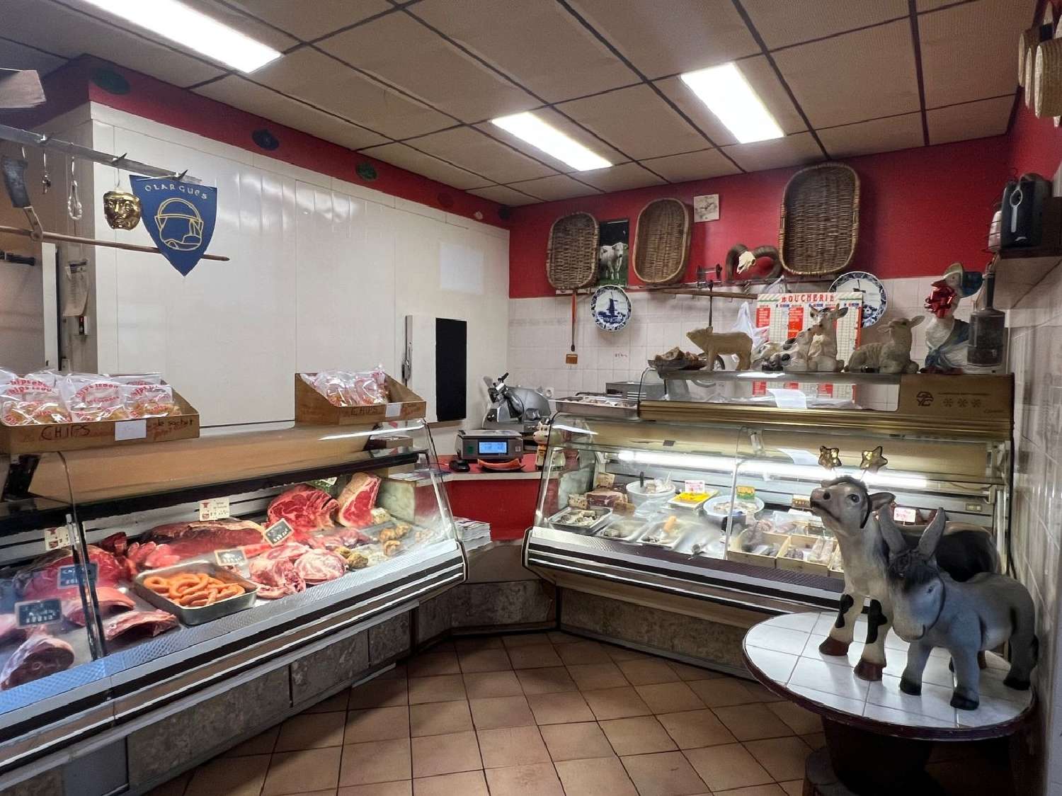  te koop bedrijfsruimte/ kantoor Olargues Hérault 2