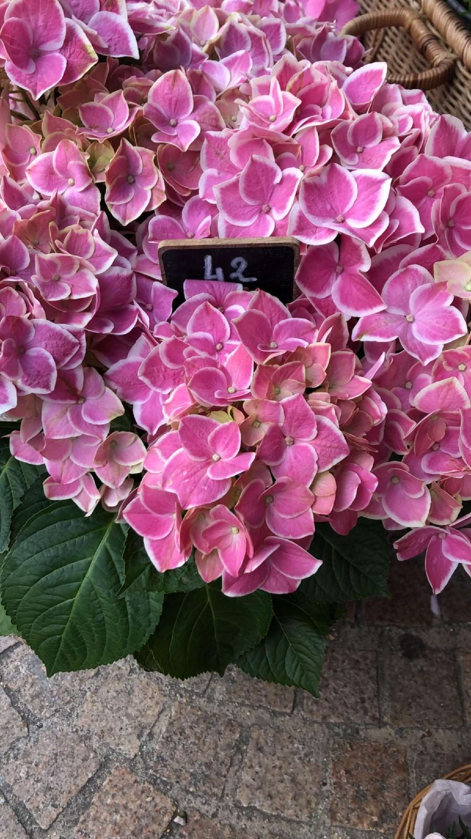 te koop bedrijfsruimte/ kantoor Paris 11e Arrondissement Parijs (Seine) 1