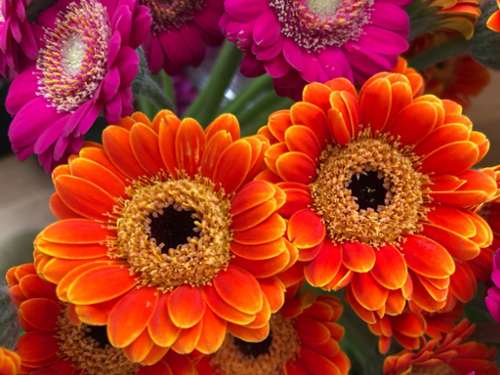 Paris 15e Arrondissement Parijs (Seine) bedrijfsruimte/ kantoor foto 7184495