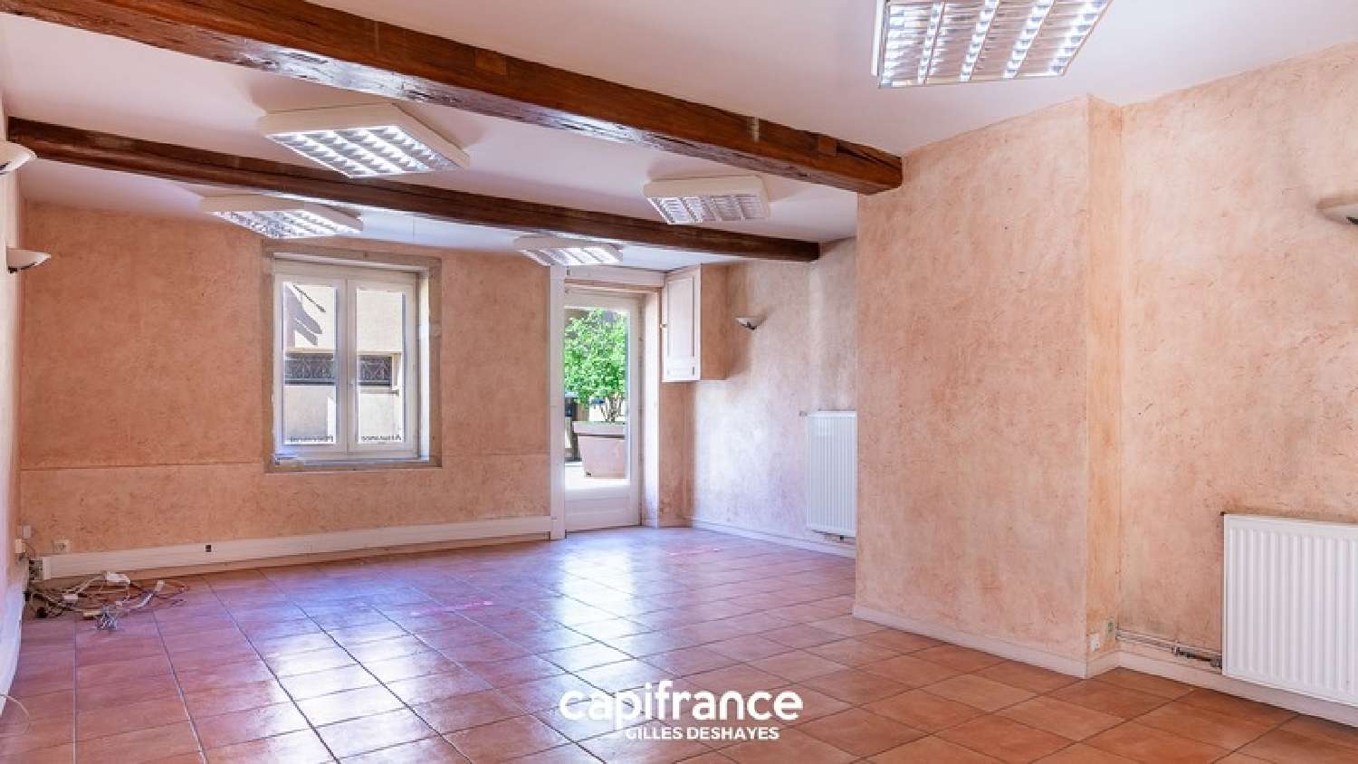  for sale commercial Villié-Morgon Rhône 5