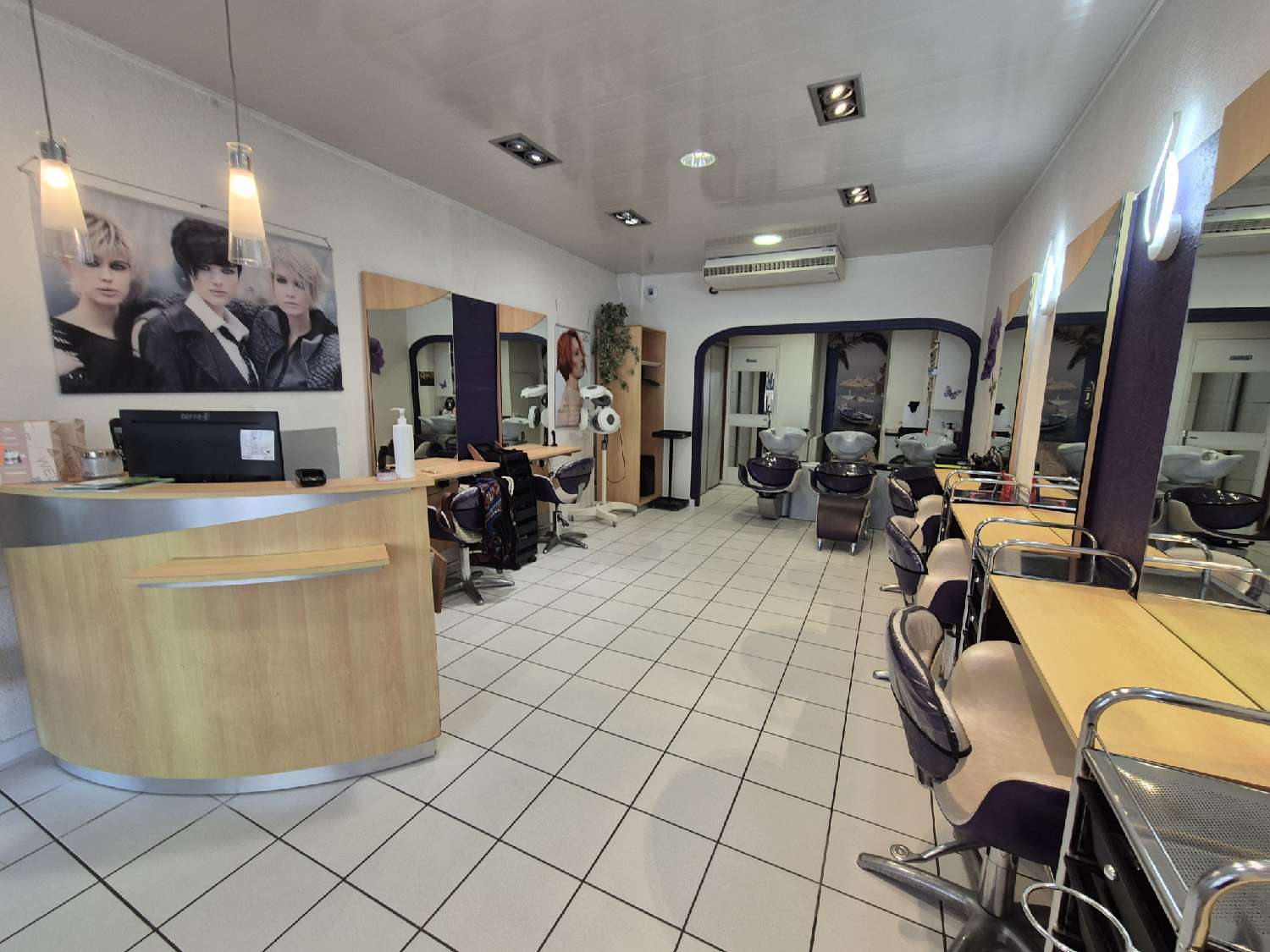 te koop bedrijfsruimte/ kantoor Villiers-en-Lieu Haute-Marne 1