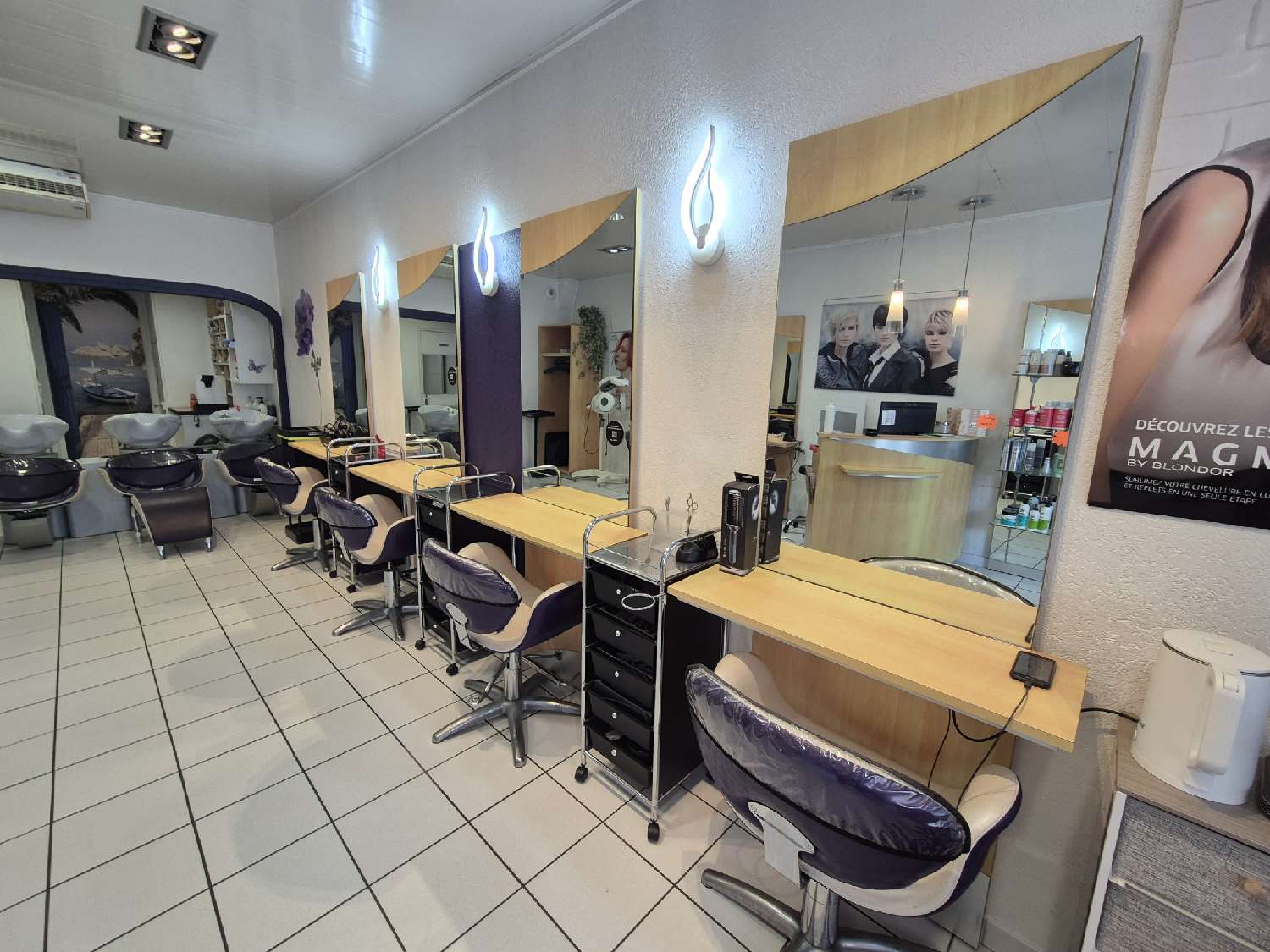 te koop bedrijfsruimte/ kantoor Villiers-en-Lieu Haute-Marne 3