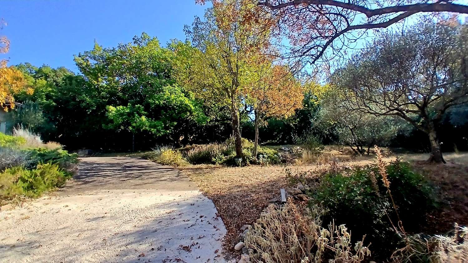 te koop vrijstaand huis Poujols Hérault 3