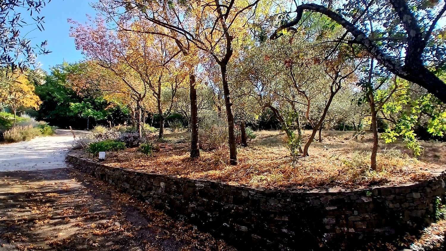 te koop vrijstaand huis Poujols Hérault 4