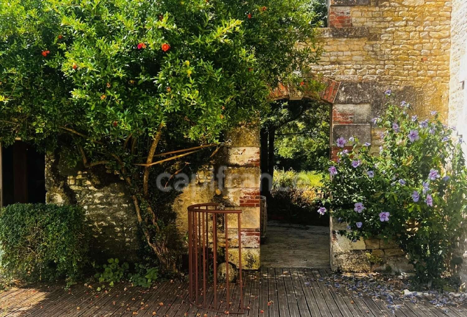  for sale estate Anais Charente-Maritime 4