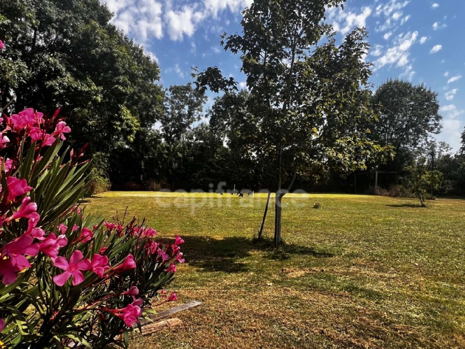  for sale estate Anais Charente-Maritime 5