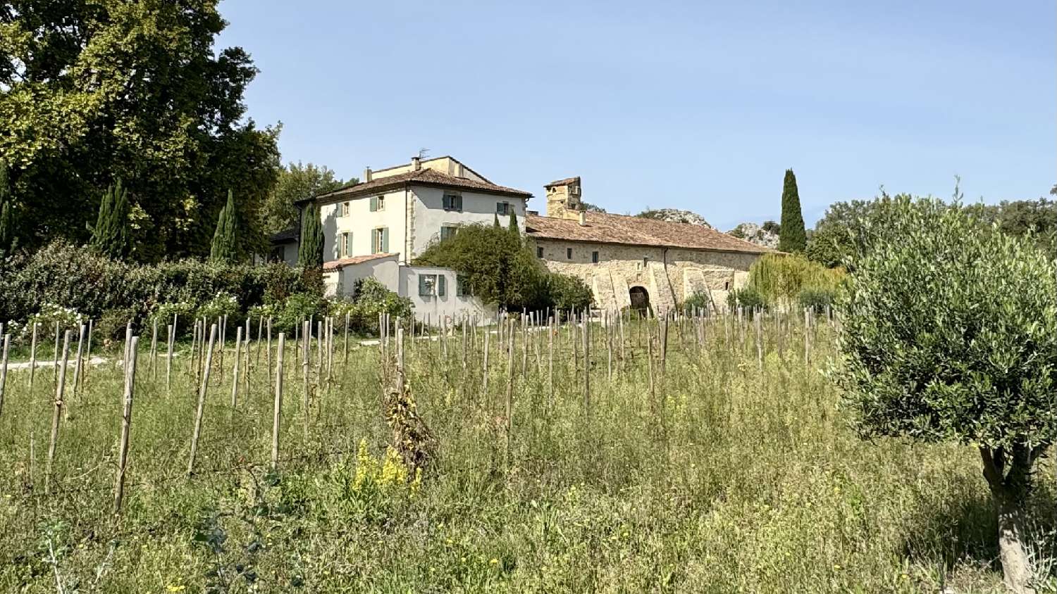 for sale estate Avignon Vaucluse 2