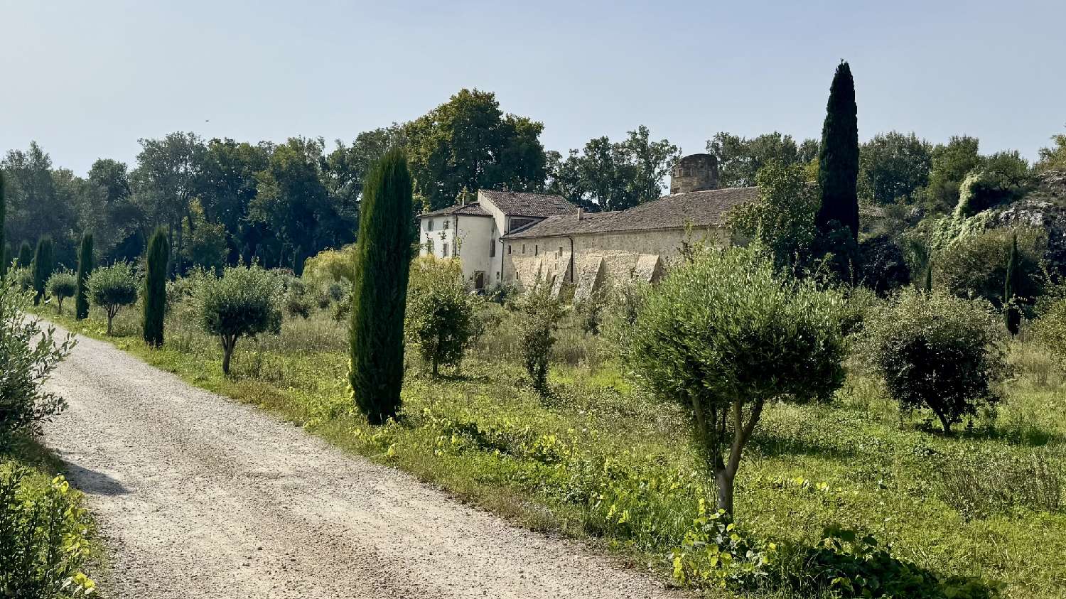 for sale estate Avignon Vaucluse 3