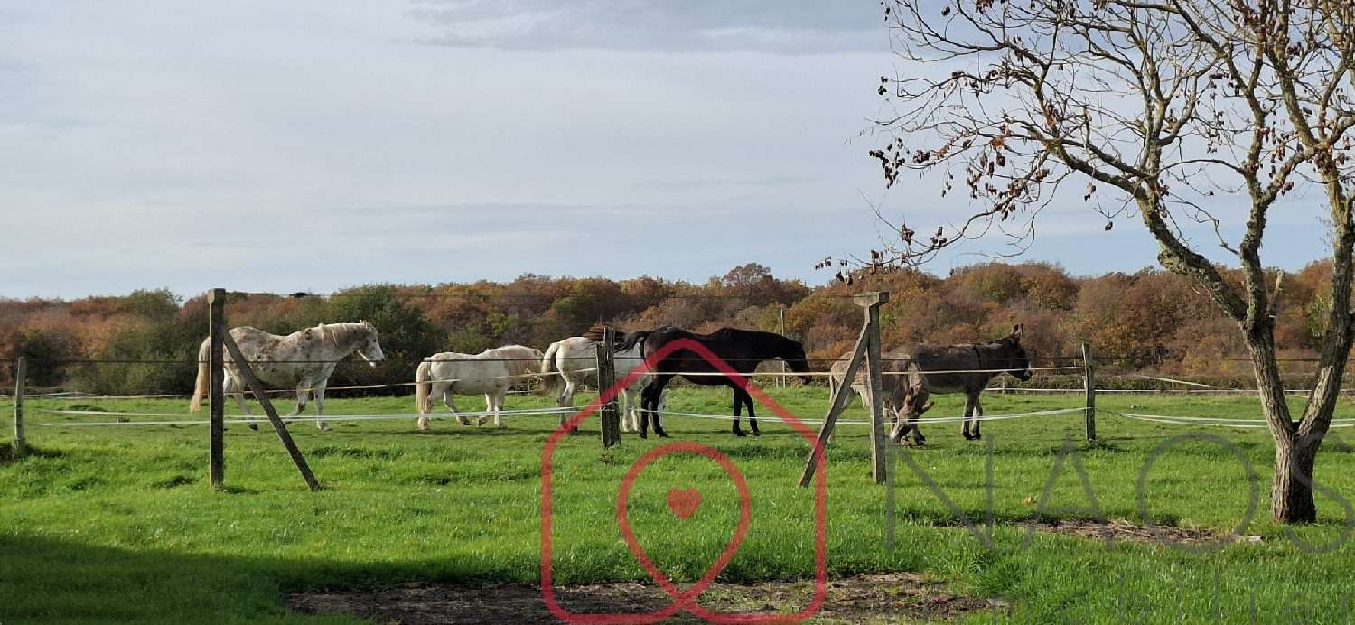 for sale estate Boulleret Cher 5