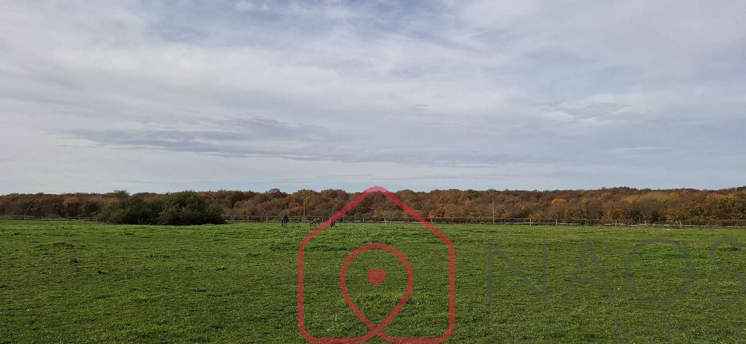 for sale estate Boulleret Cher 7