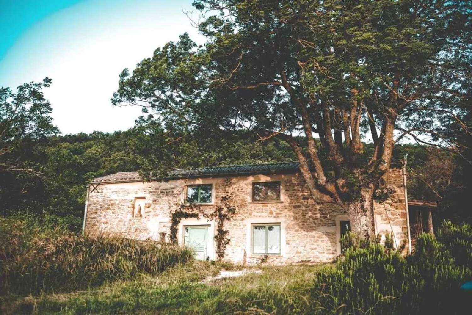  te koop landgoed Bugarach Aude 2