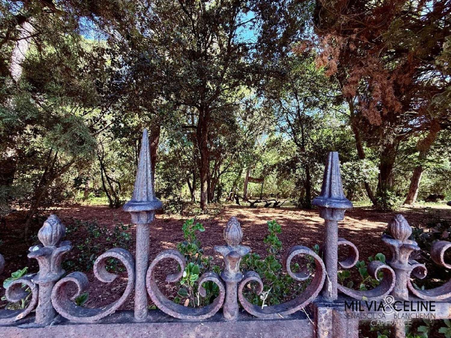  à vendre propriété Carcassonne Aude 4