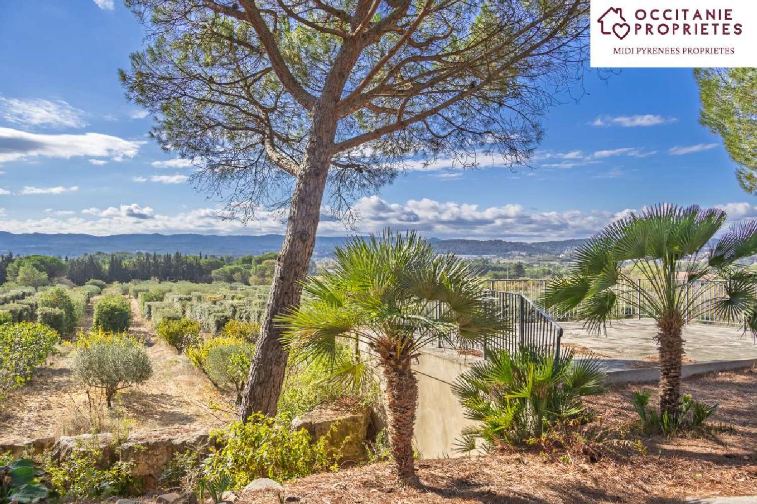 te koop landgoed Carcassonne Aude 4