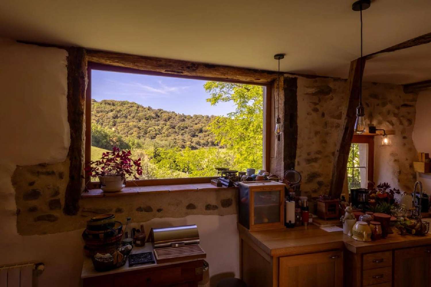  te koop landgoed Carcassonne Aude 6