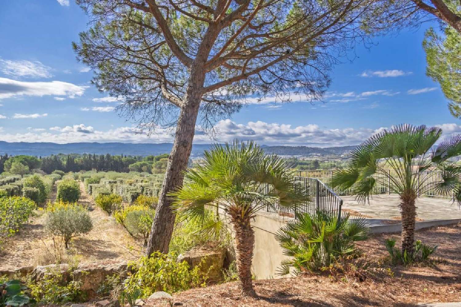  te koop landgoed Carcassonne Aude 4