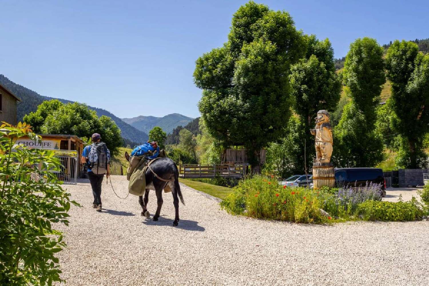  for sale estate Comus Aude 4