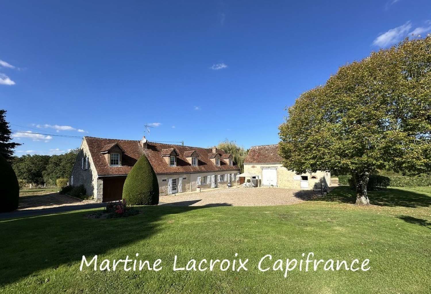  for sale estate Cormes Sarthe 5