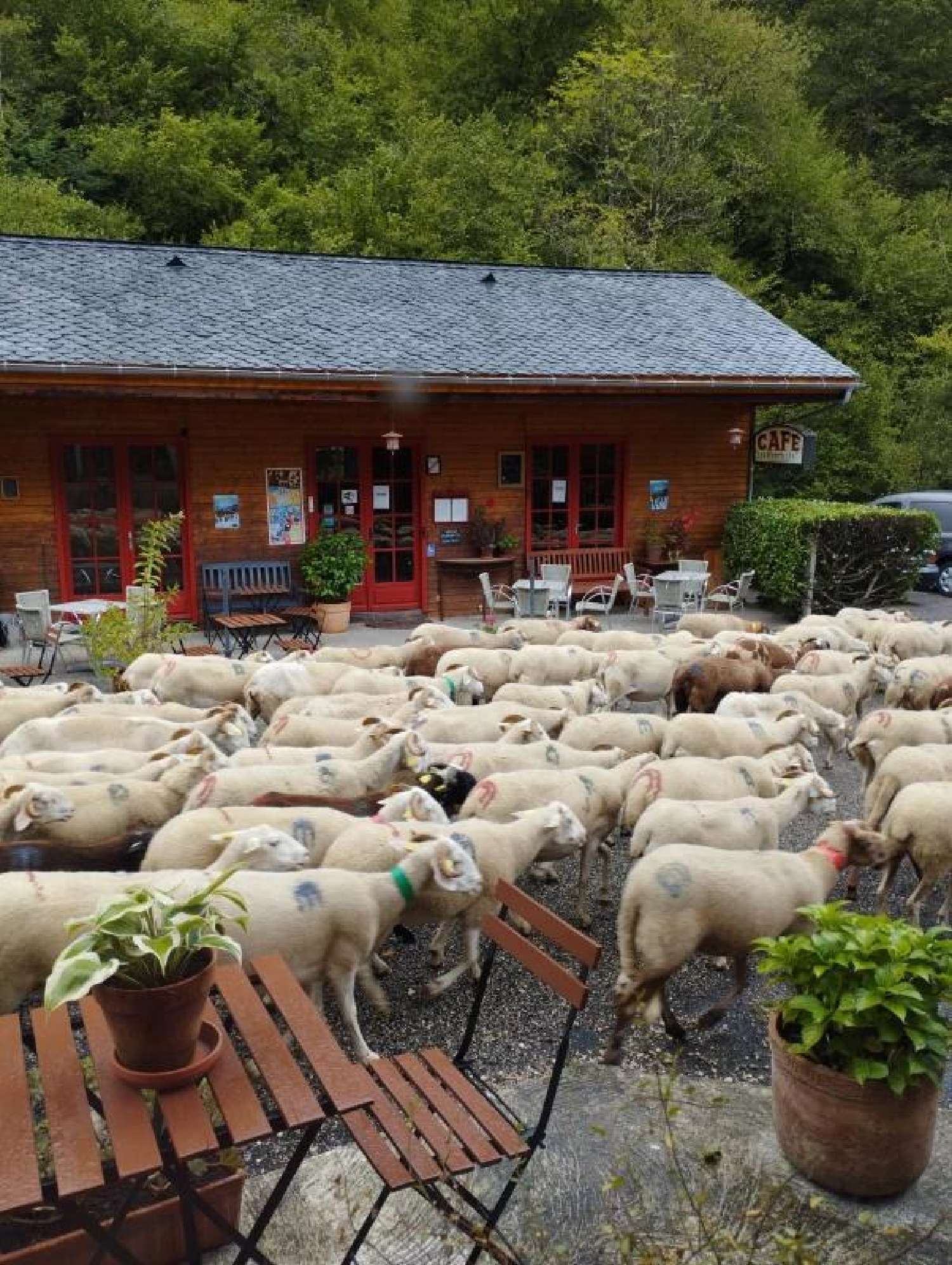  à vendre propriété Couflens Ariège 3