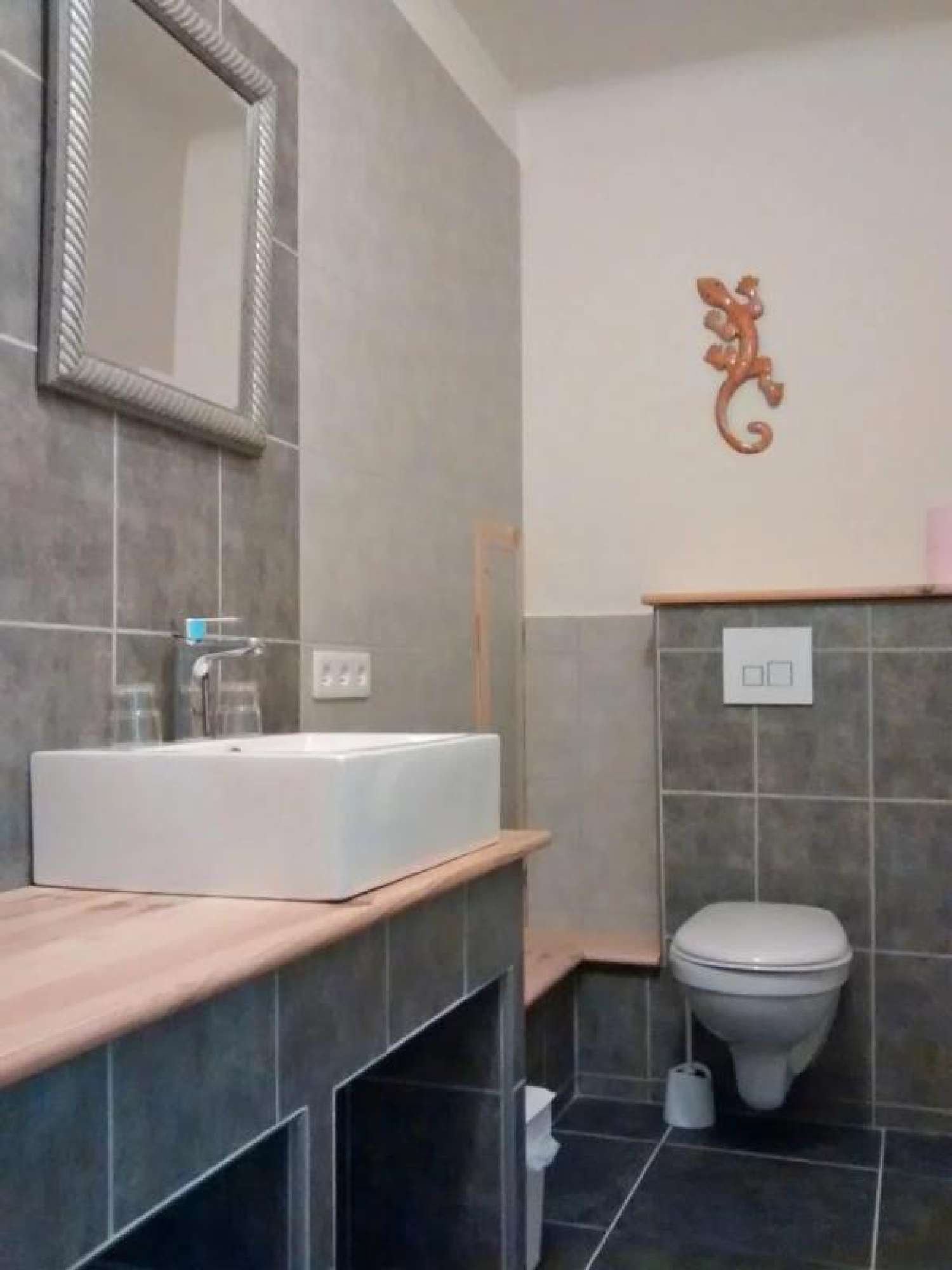  à vendre propriété Couflens Ariège 8