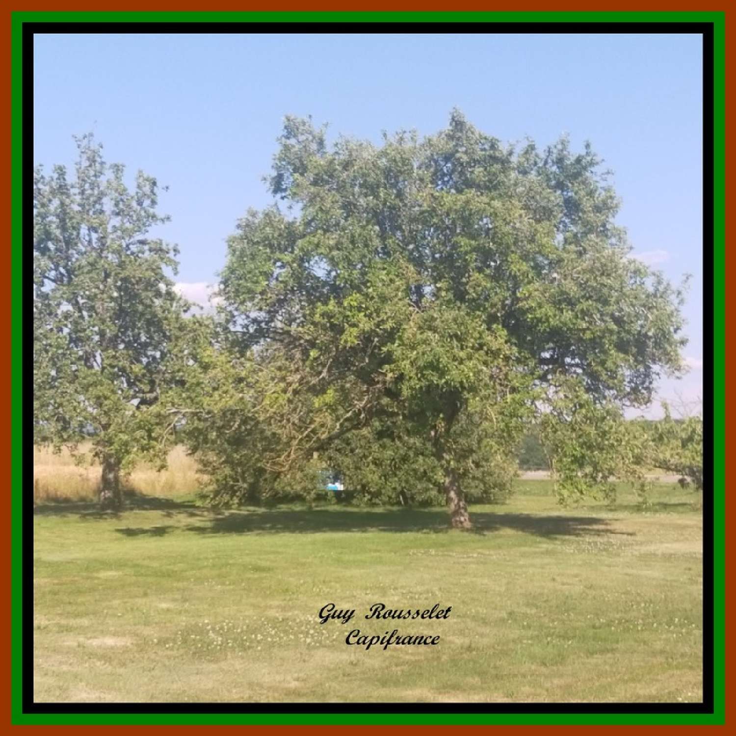  à vendre propriété Courcelles-lès-Semur Côte-d'Or 5