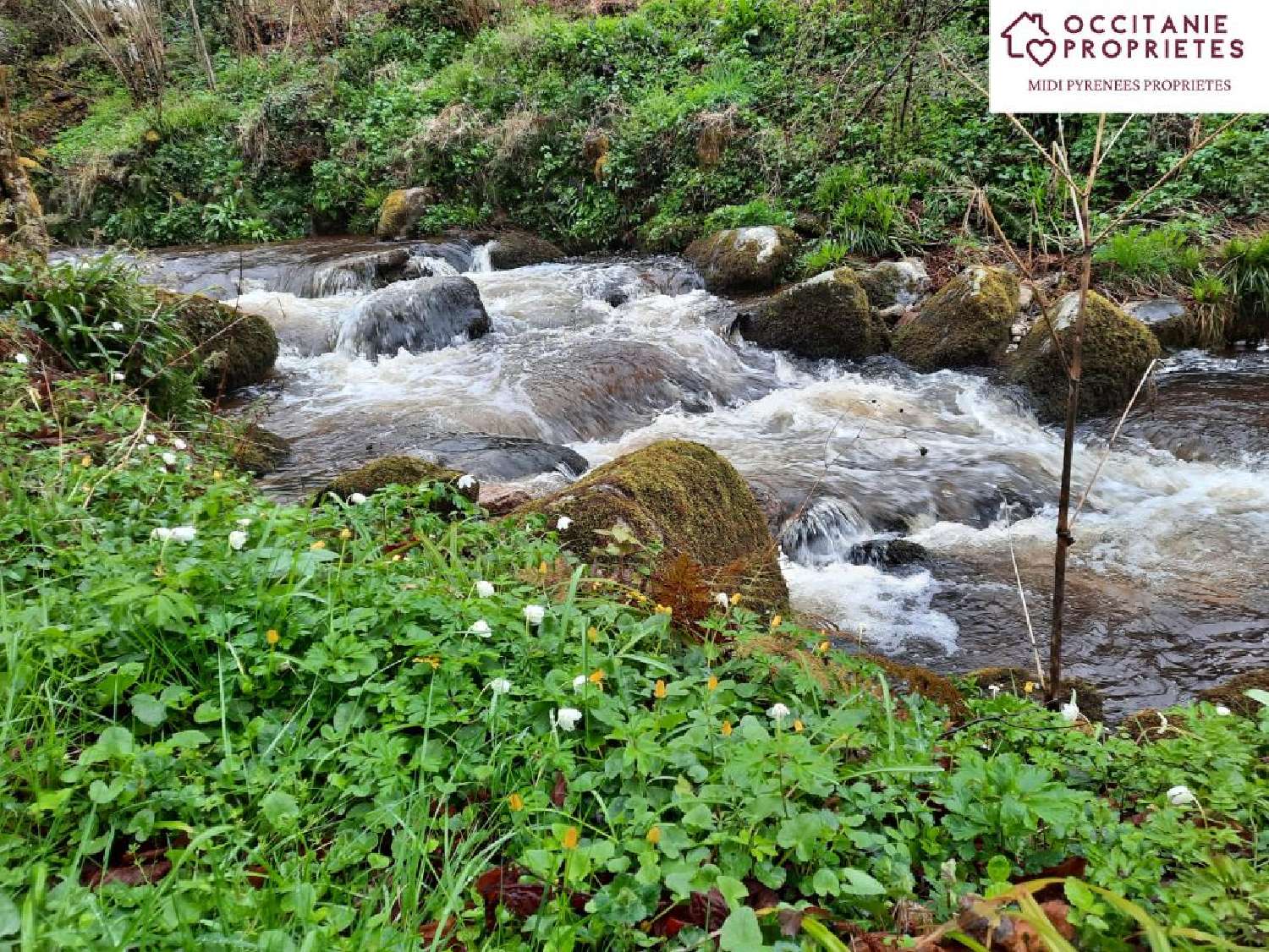  for sale estate Foix Ariège 7
