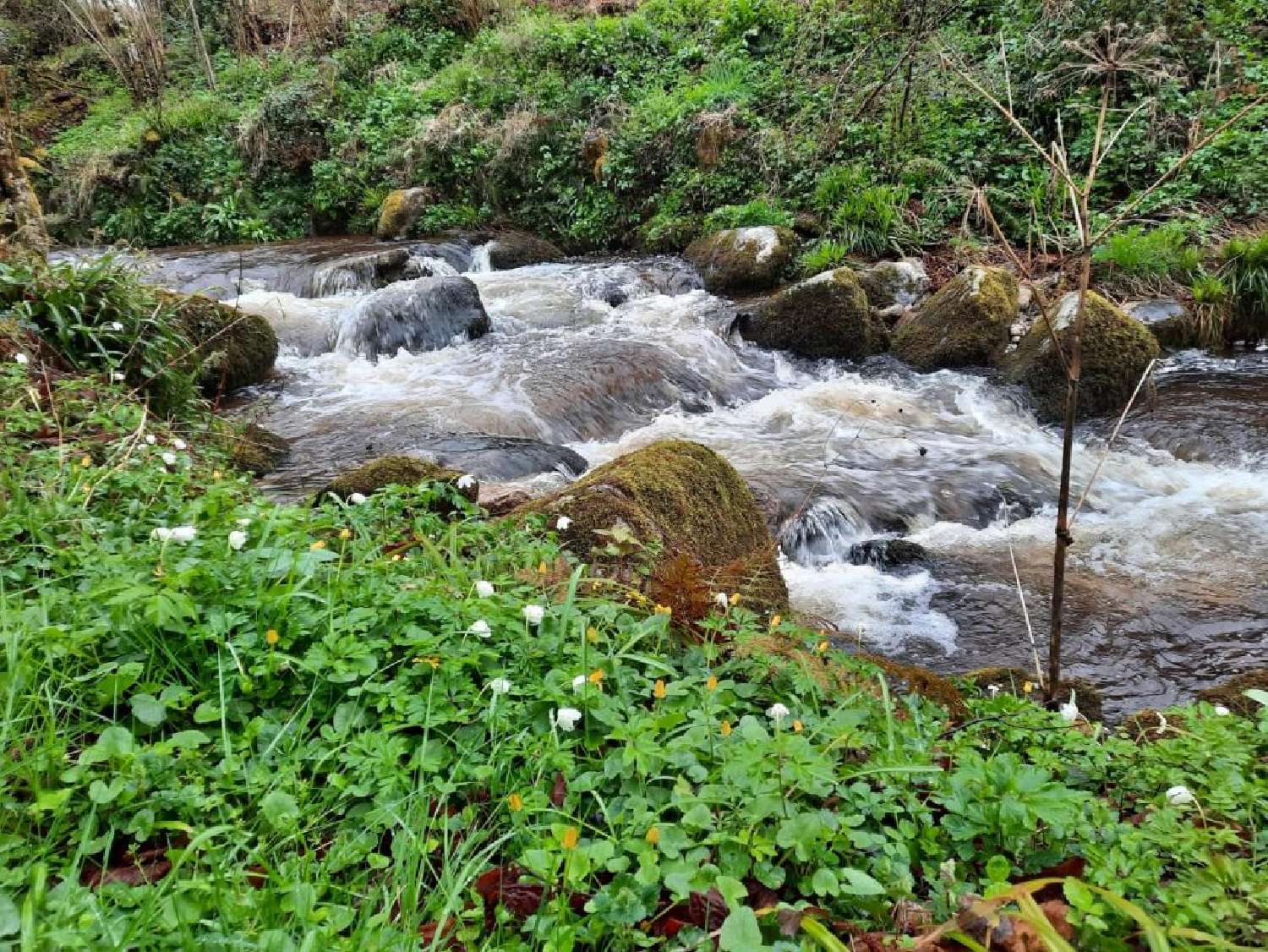 en venta finca rústica Foix Ariège 2