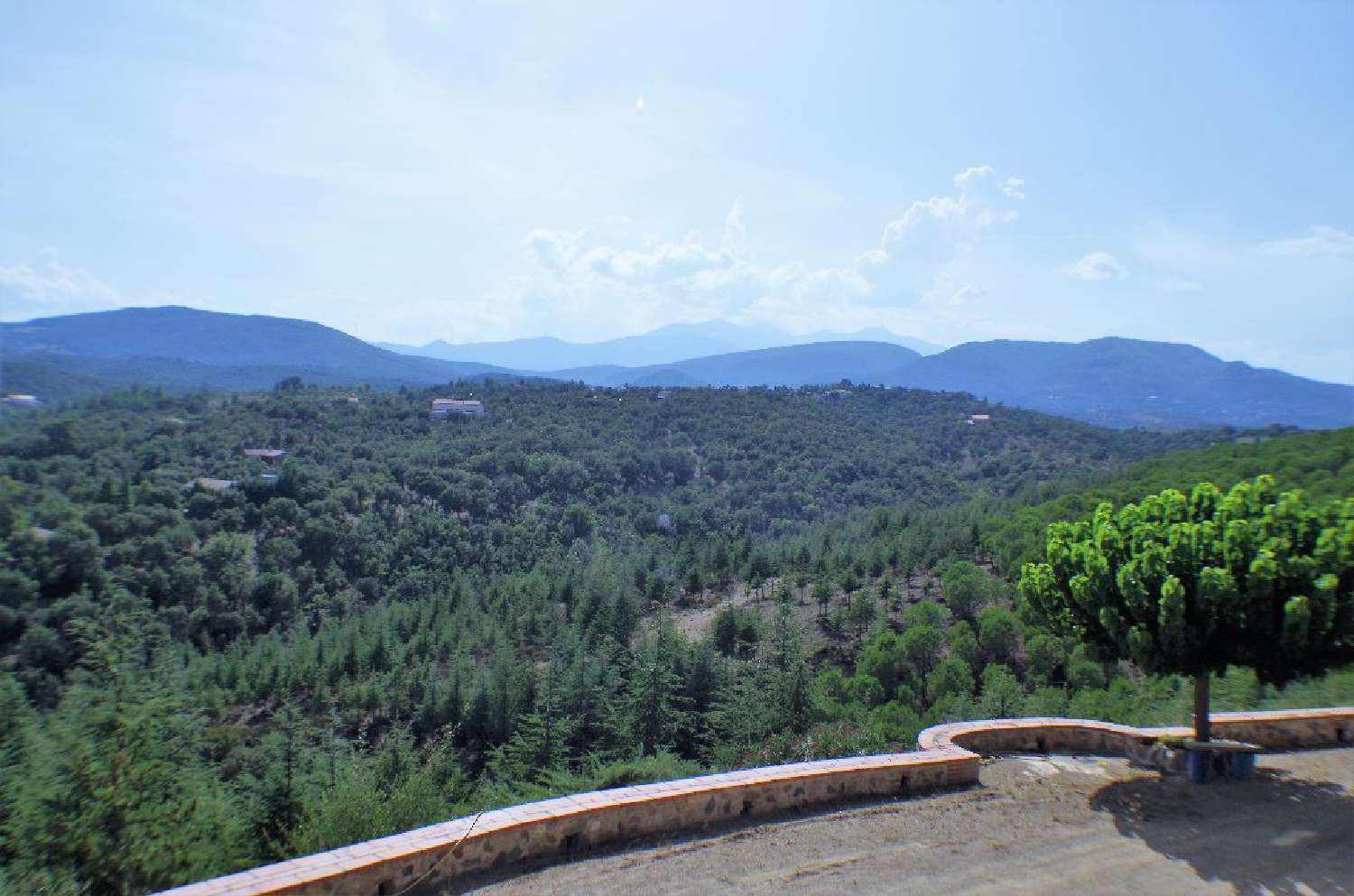  te koop landgoed Fourques Pyrénées-Orientales 2