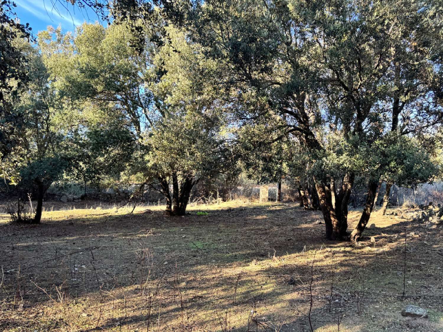  te koop landgoed L'Île-Rousse Haute-Corse 1
