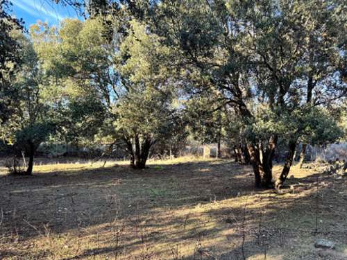 L'Île-Rousse Haute-Corse estate foto 7186412