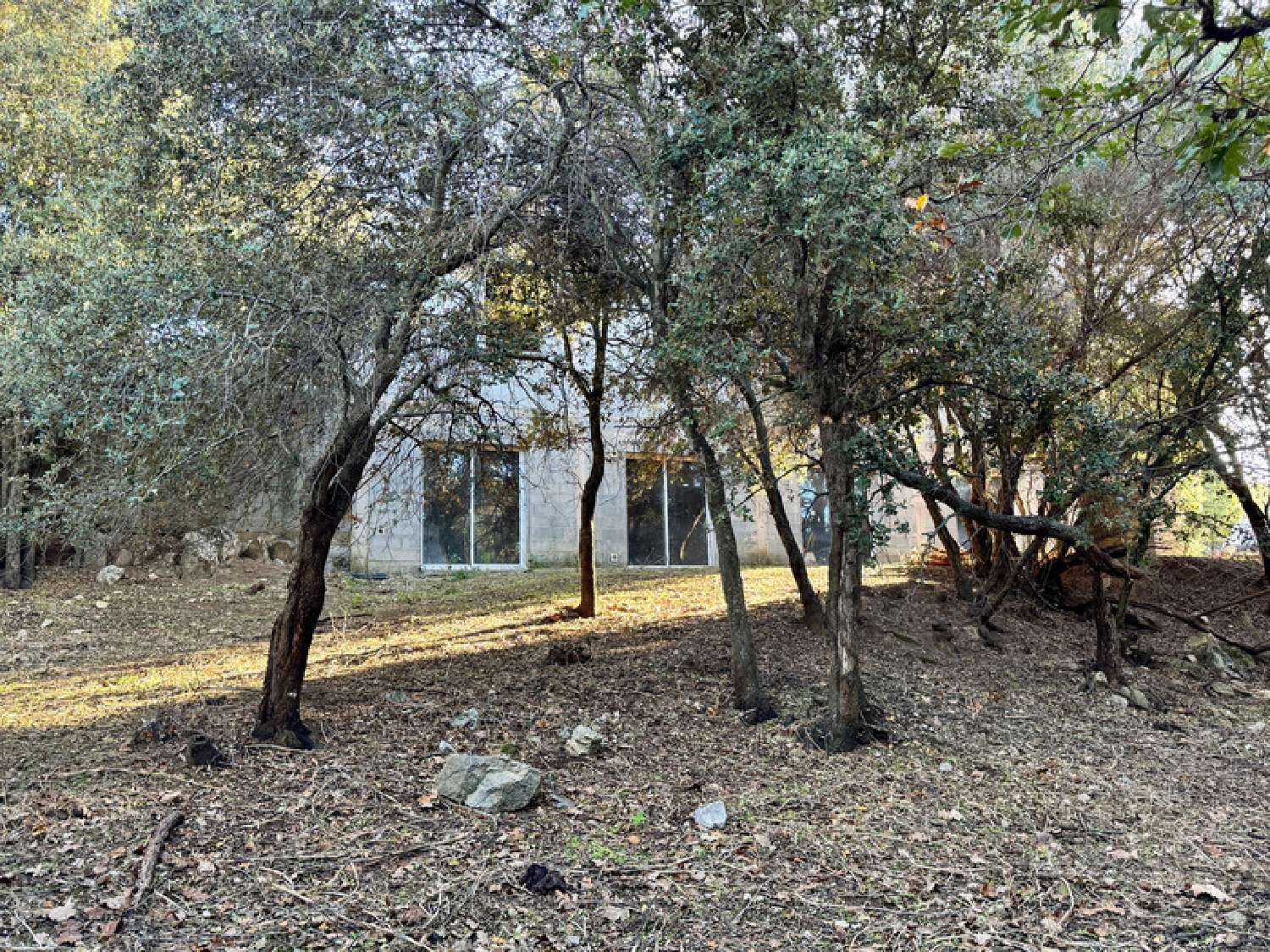  te koop landgoed L'Île-Rousse Haute-Corse 7