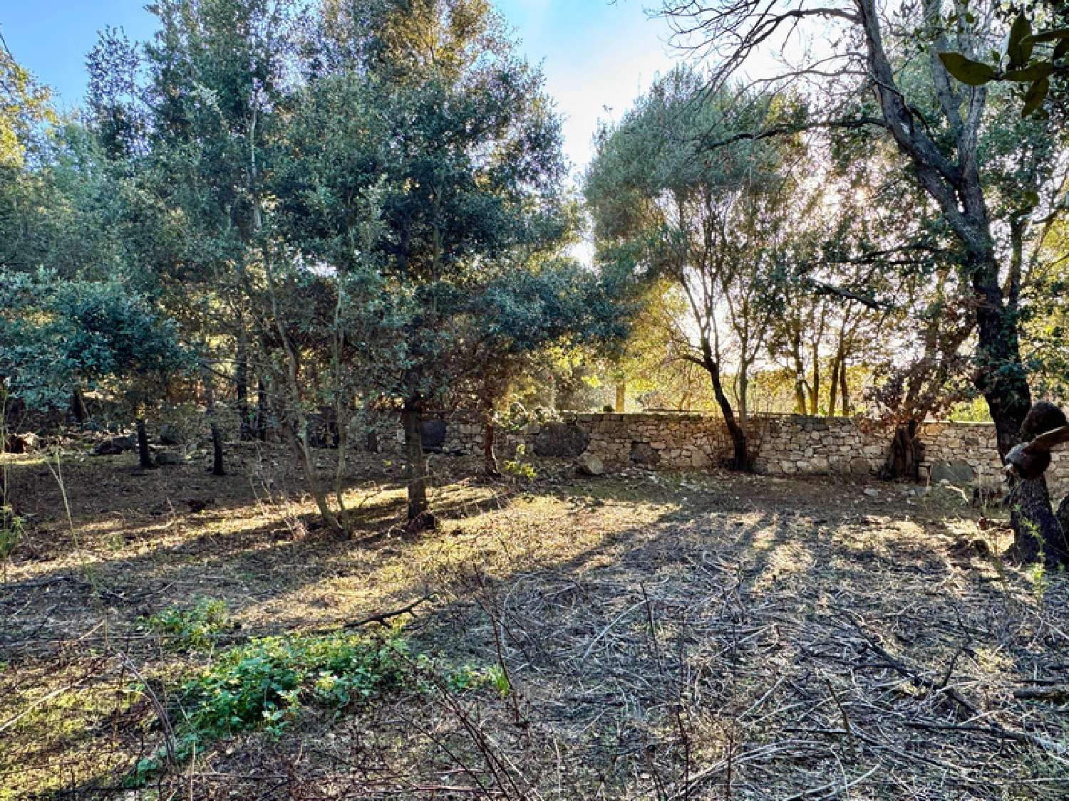  te koop landgoed L'Île-Rousse Haute-Corse 8