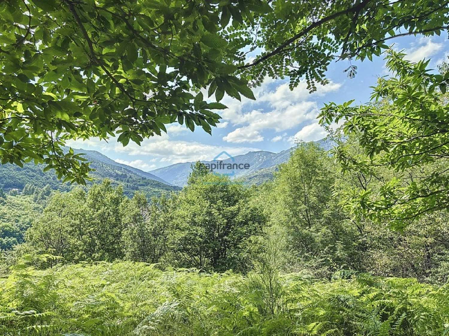 for sale estate Laboule Ardèche 3