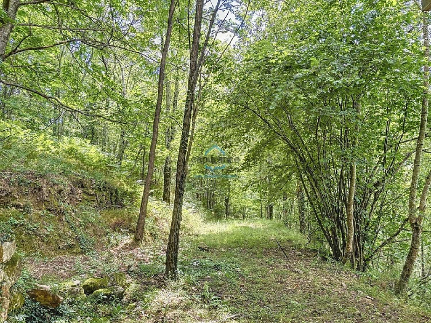 for sale estate Laboule Ardèche 6