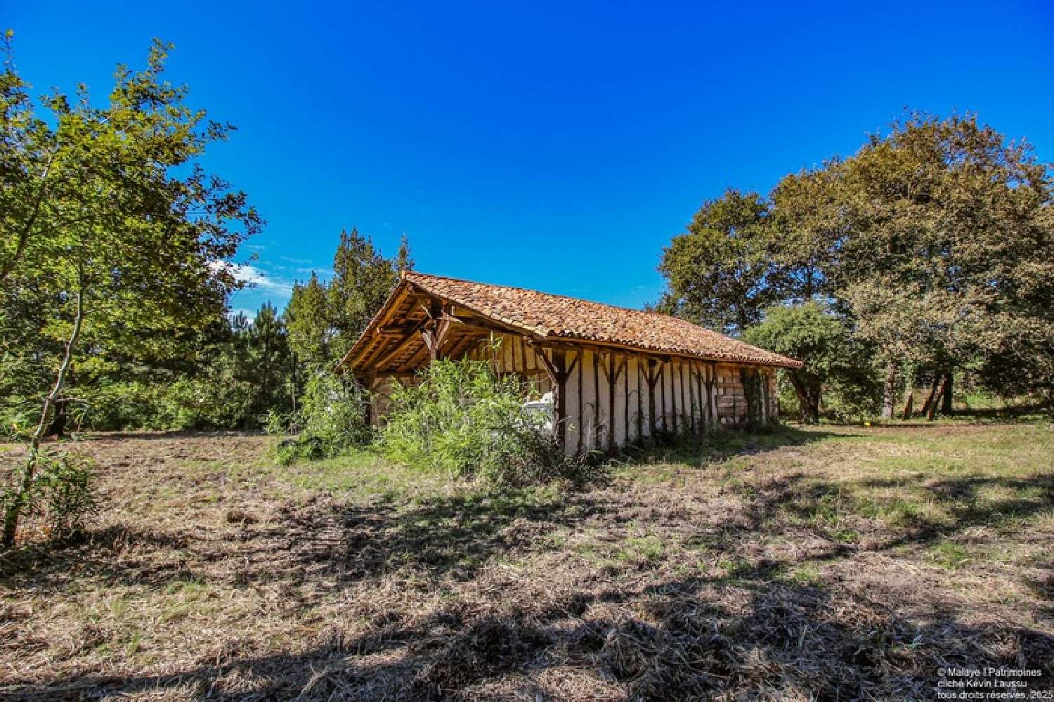  te koop landgoed Laluque Landes 6