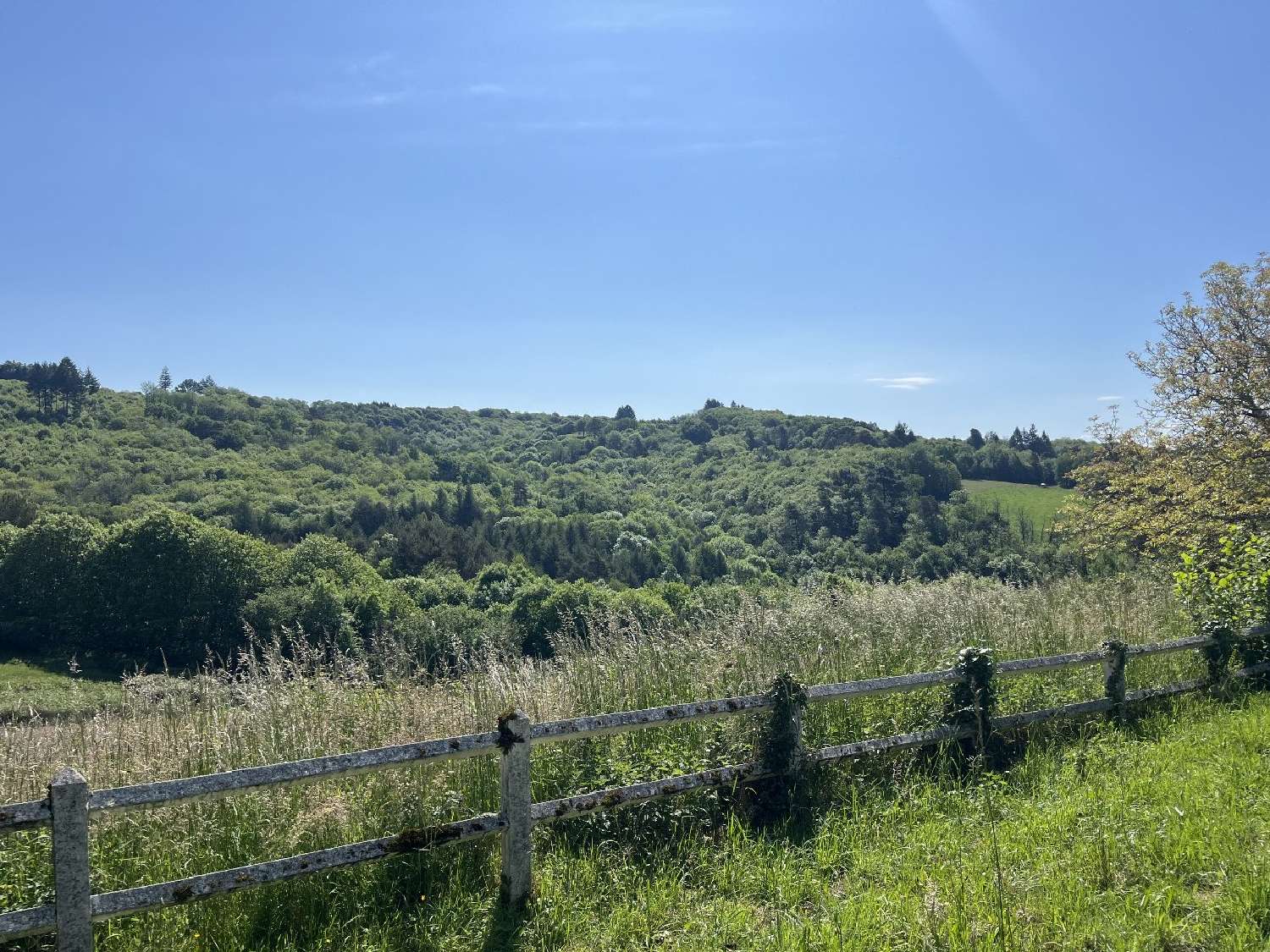  for sale estate Le Pescher Corrèze 5