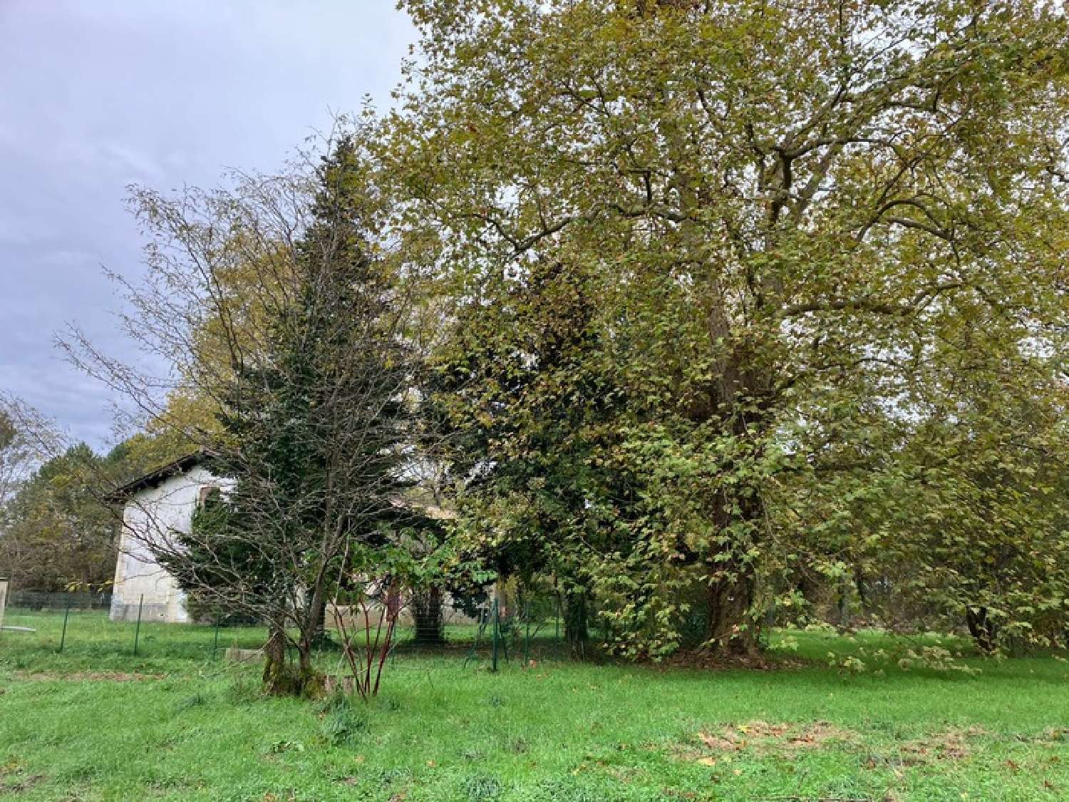 te koop landgoed Le Teich Gironde 4