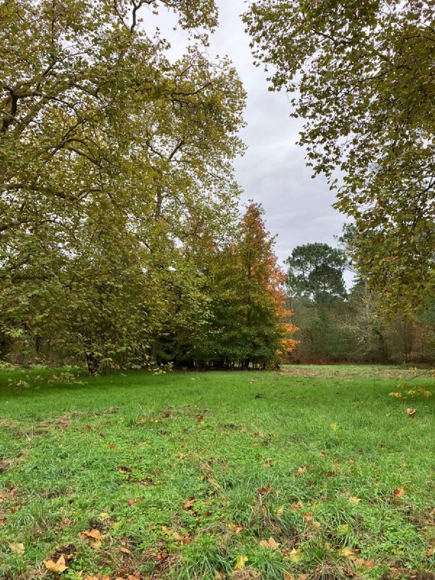 te koop landgoed Le Teich Gironde 5