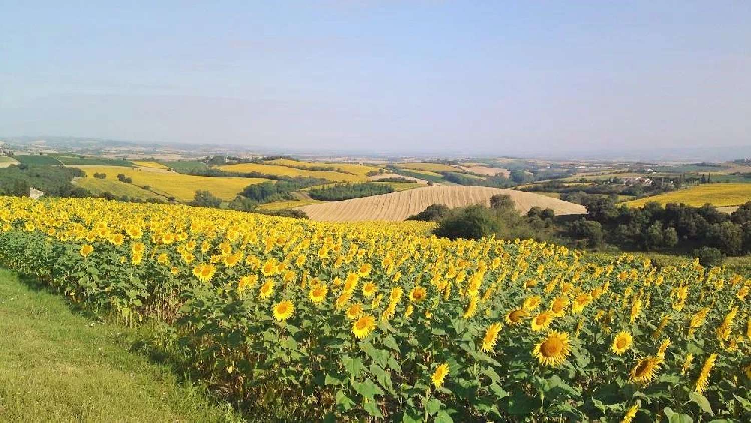 te koop landgoed Montréal Aude 6