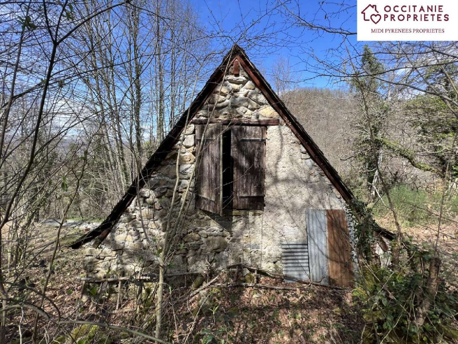 for sale estate Oust Ariège 3