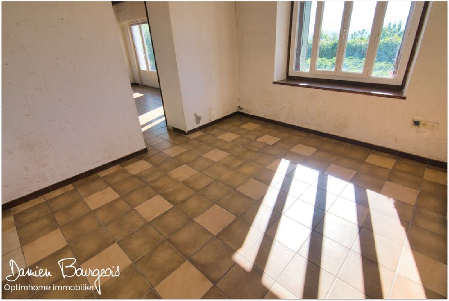 for sale estate Péron Ain 4