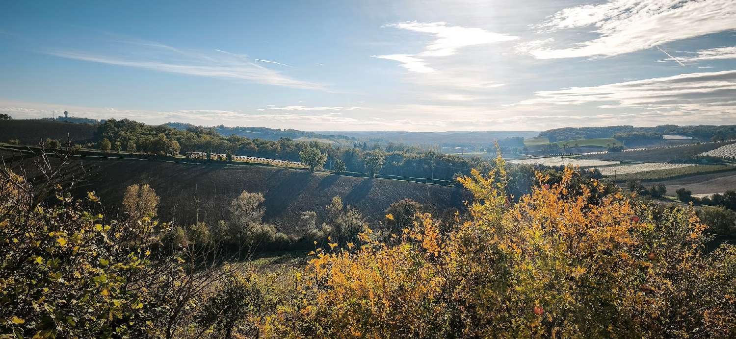  for sale estate Perville Tarn-et-Garonne 7