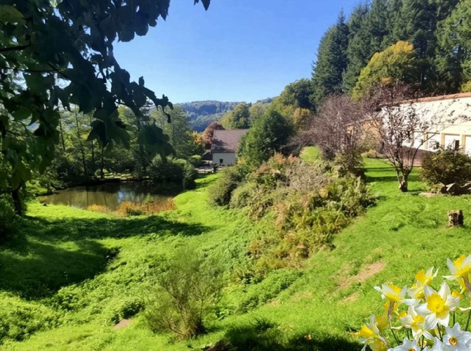  kaufen Landgut Remiremont Vogesen 4