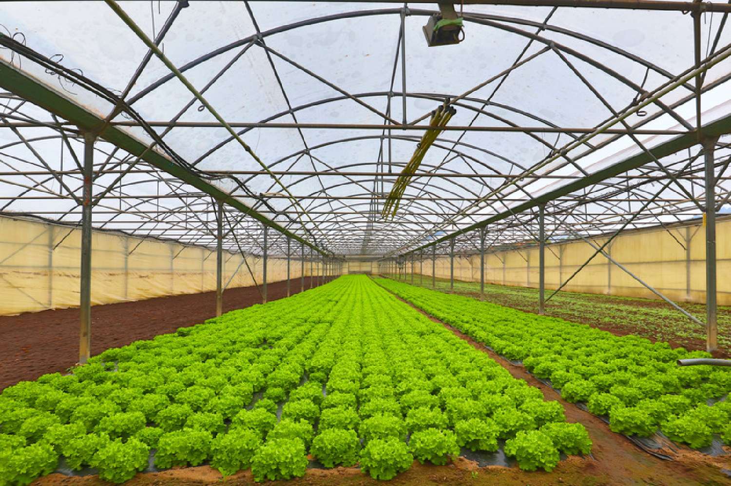  for sale estate Saint-Galmier Loire 6