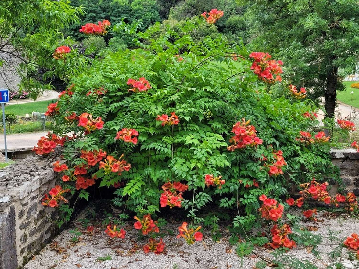 for sale estate Saint-Sernin-du-Plain Saône-et-Loire 7