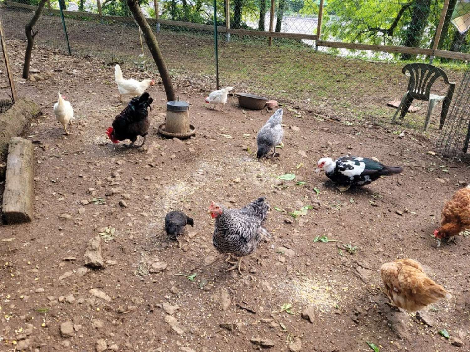 for sale estate Saint-Sernin-du-Plain Saône-et-Loire 8