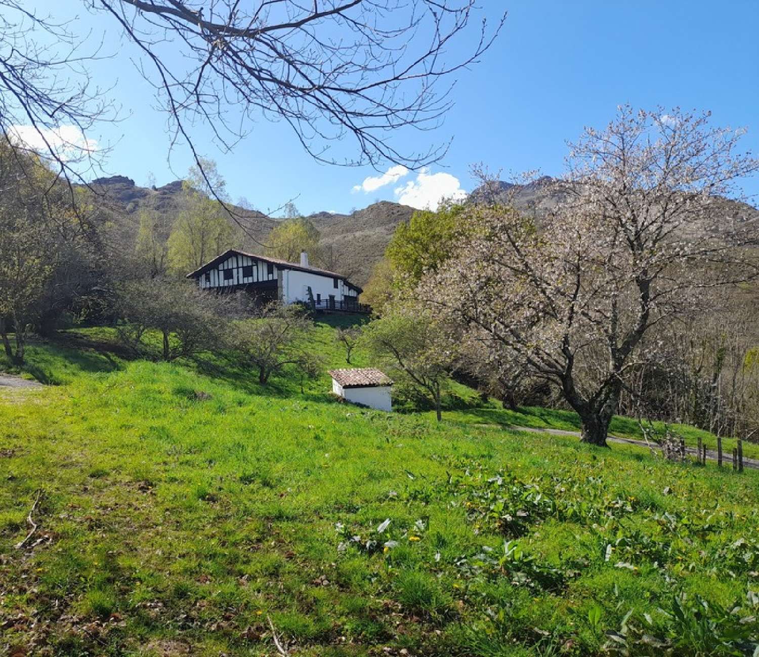  à vendre propriété Sare Pyrénées-Atlantiques 2